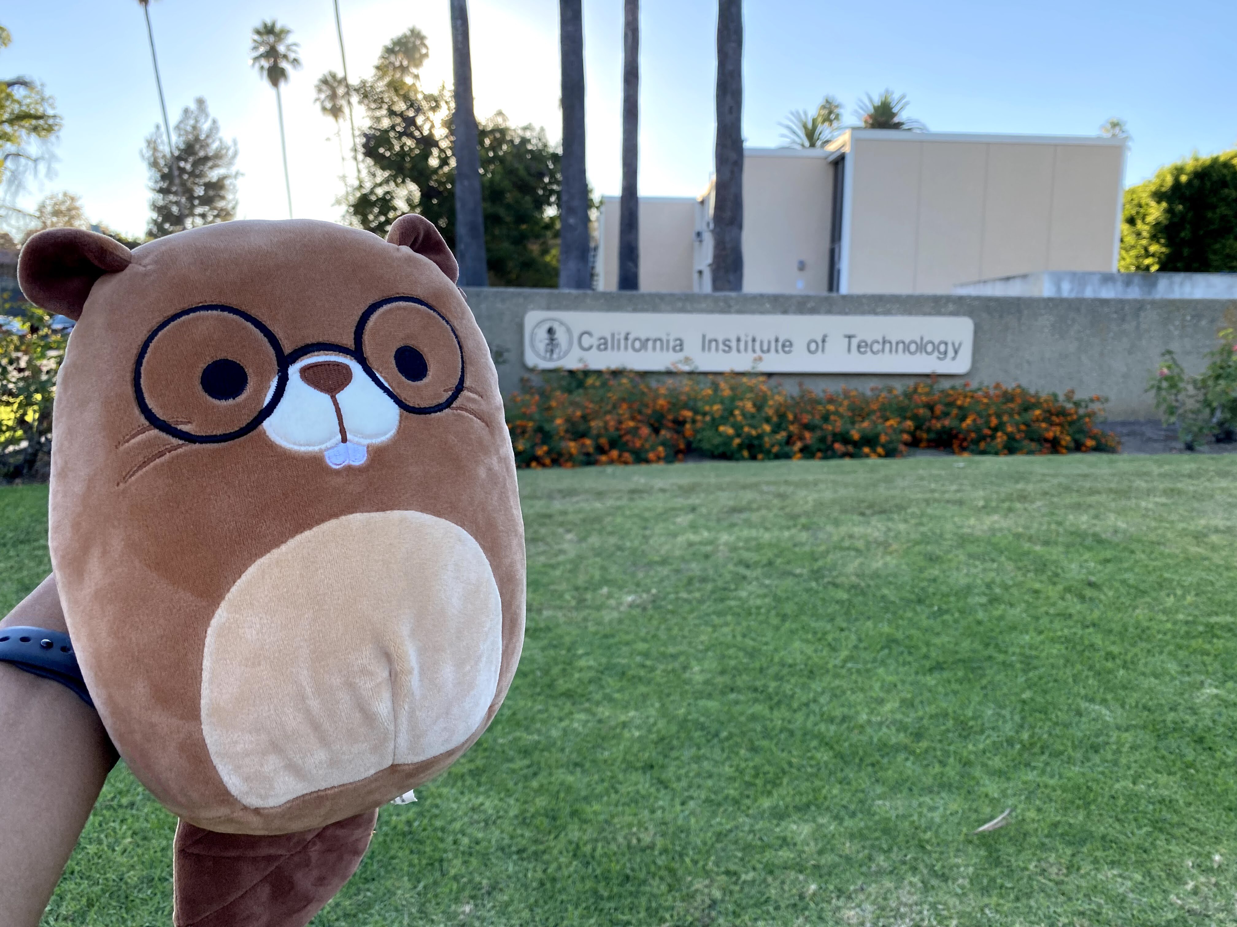 Beaver squishmallow in front of Caltech