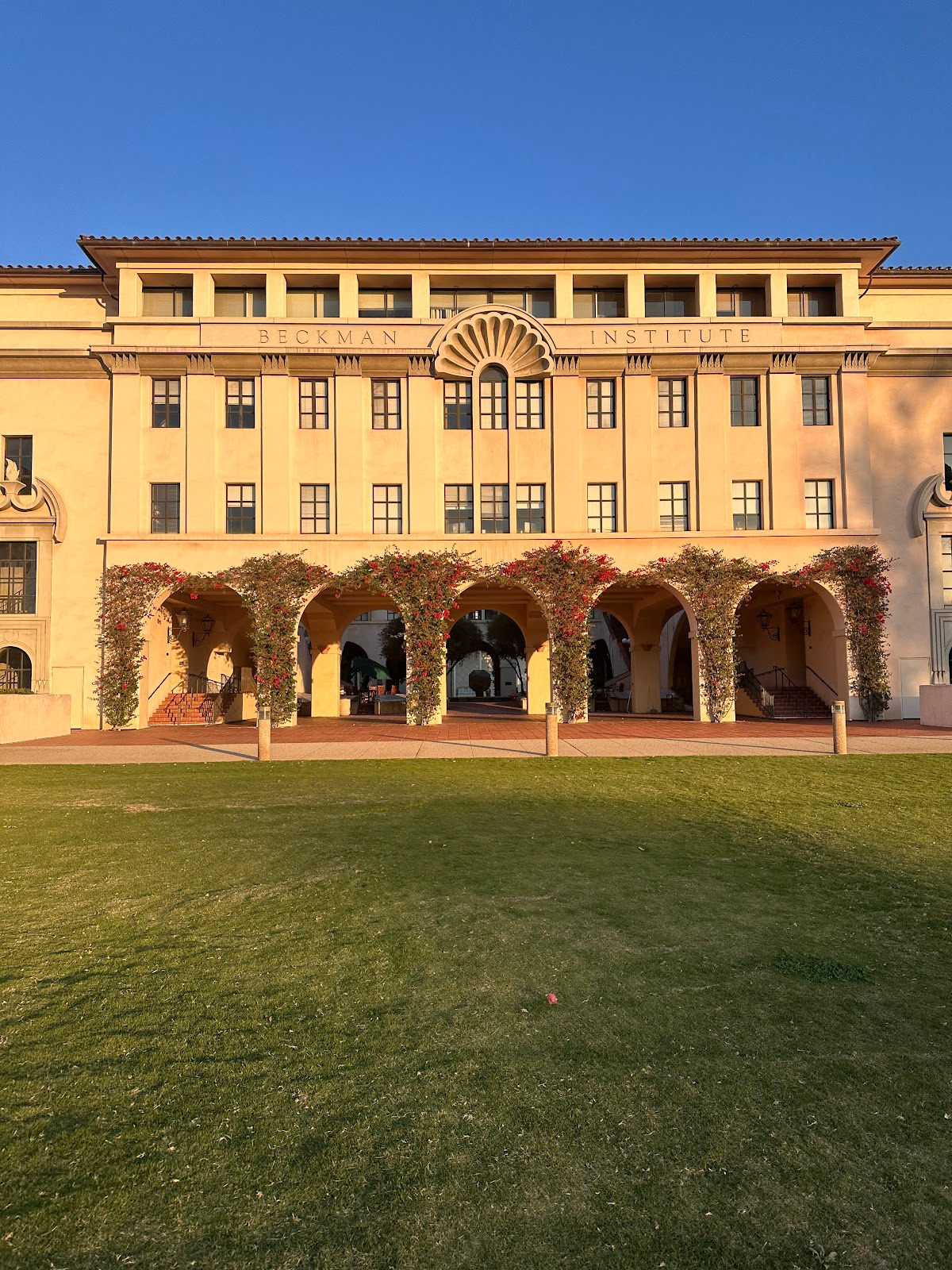 A pretty view of Beckman mall